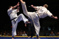 Боевые искусства