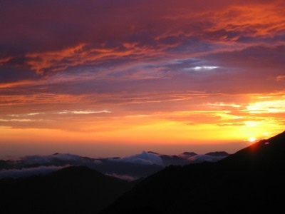 Кшатра Макса Дедика