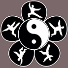 Ушу Мэйхуачжуан