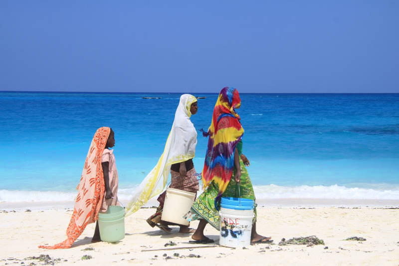 Сафари по-танзанийски или Акуна Матата