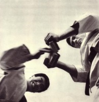 Боевые искусства