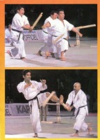 Боевые искусства